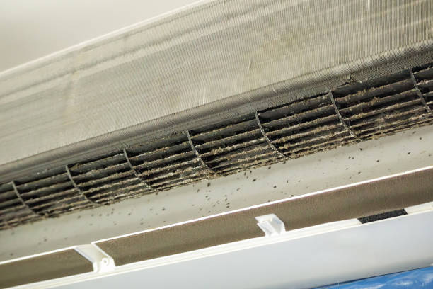 Best HVAC System Cleaning  in Fargo, ND